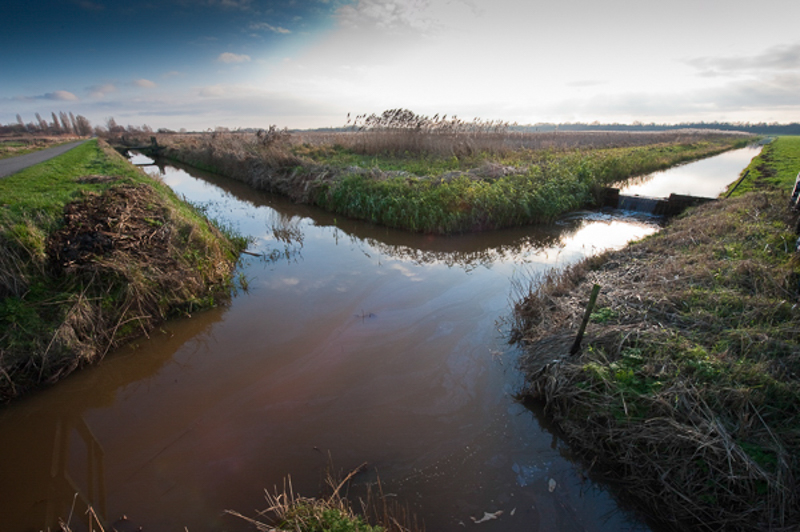 Horstermeerpolder